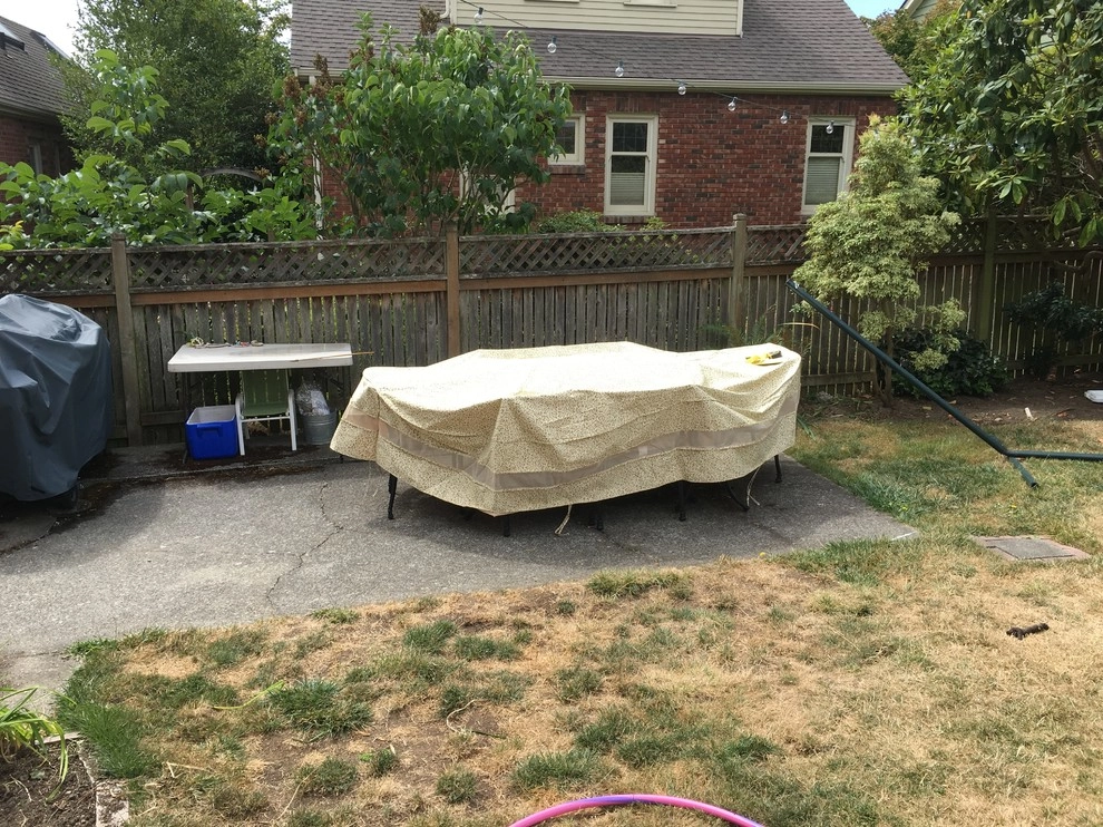 Seattle Back Yard Remodel Fall 2016 by Plumb Landscapes Inc. - Photo 20