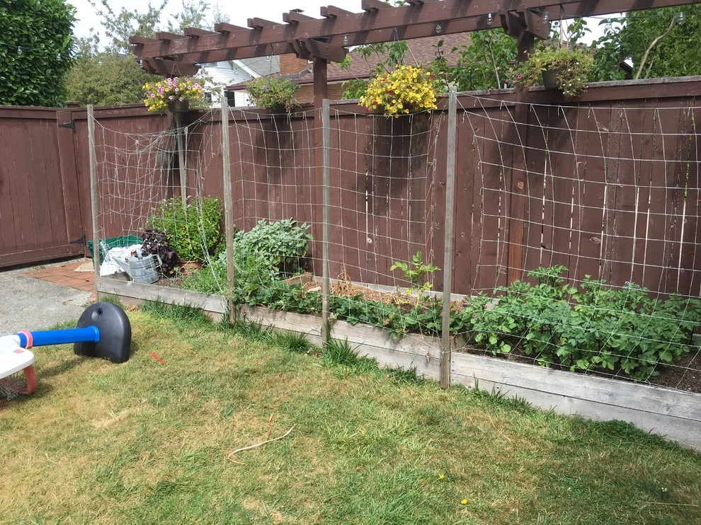 Seattle Back Yard Remodel Fall 2016 by Plumb Landscapes Inc. - Photo 5