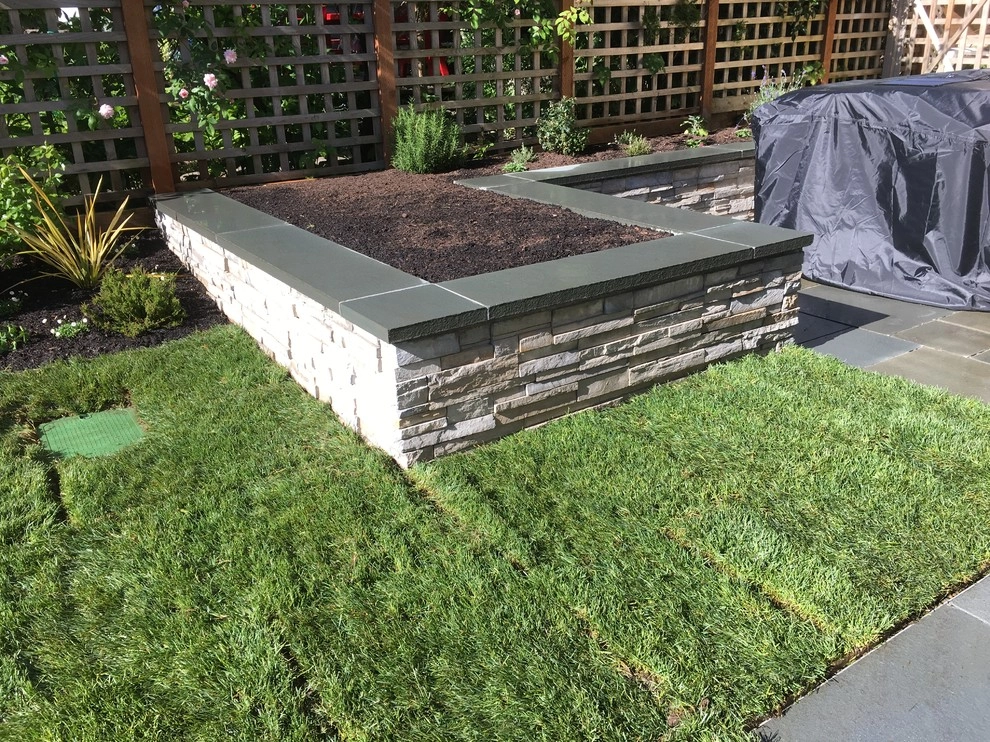 Seattle Landscape Transformation Spring 2017 by Plumb Landscapes Inc. - Photo 29