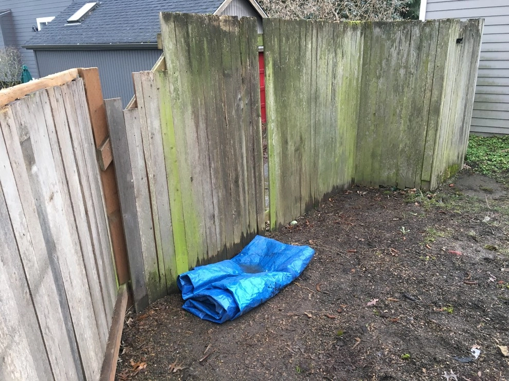 Seattle Landscape Transformation Spring 2017 by Plumb Landscapes Inc. - Photo 16