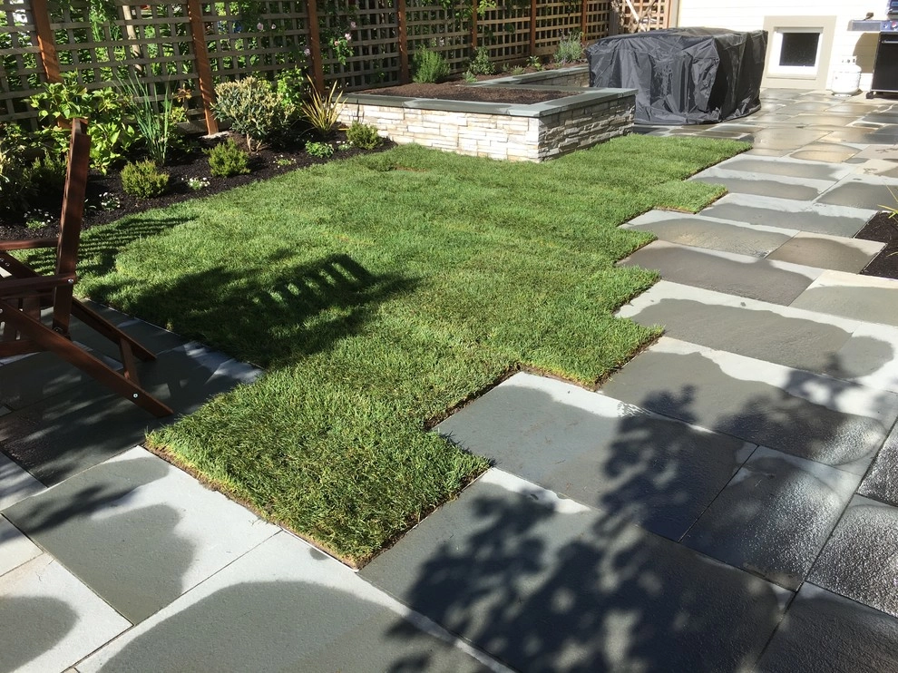 Seattle Landscape Transformation Spring 2017 by Plumb Landscapes Inc. - Photo 22