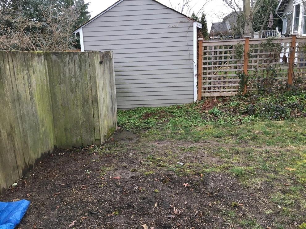 Seattle Landscape Transformation Spring 2017 by Plumb Landscapes Inc. - Photo 14