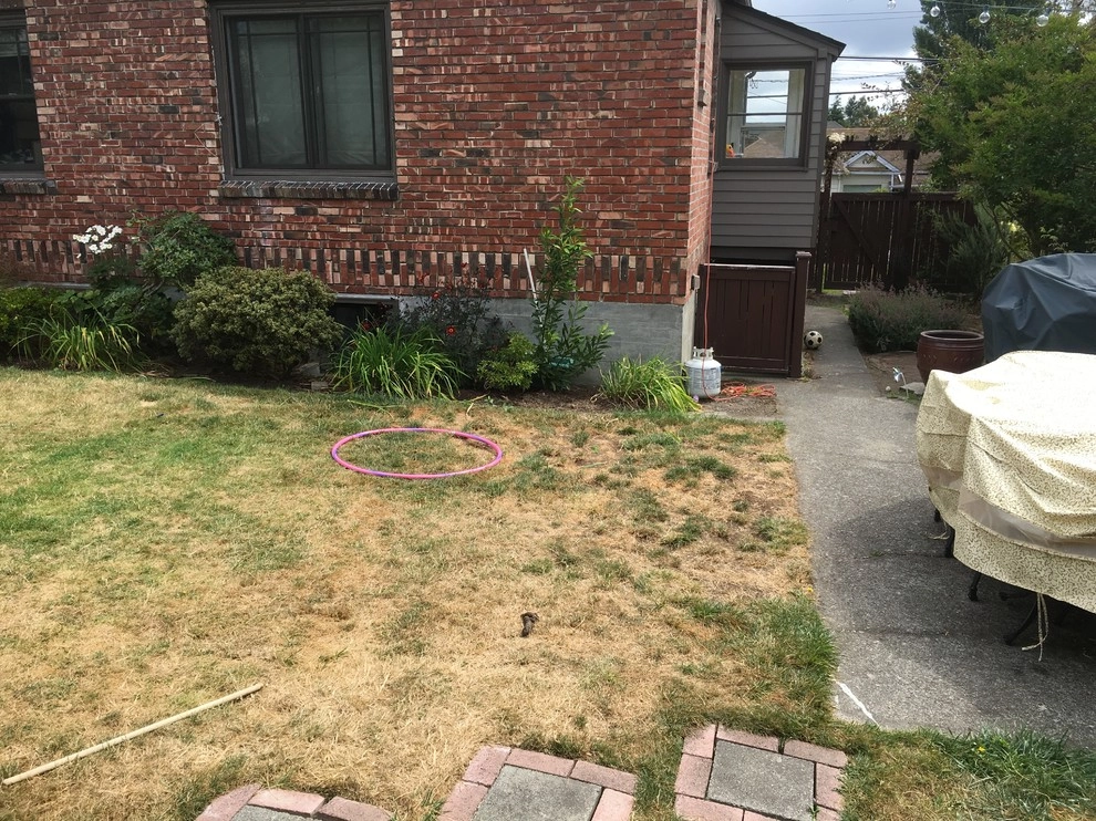 Seattle Back Yard Remodel Fall 2016 by Plumb Landscapes Inc. - Photo 18