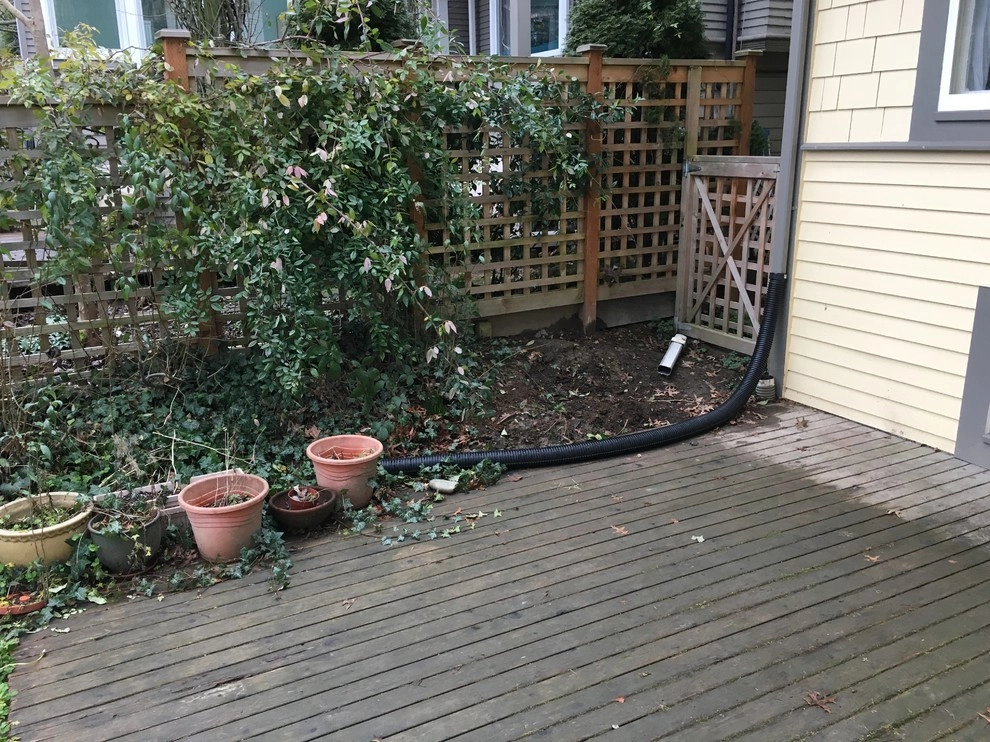 Seattle Landscape Transformation Spring 2017 by Plumb Landscapes Inc. - Photo 8