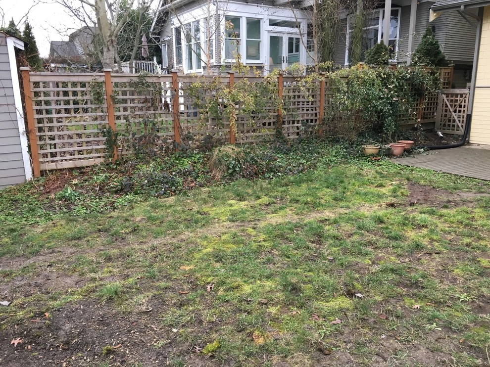 Seattle Landscape Transformation Spring 2017 by Plumb Landscapes Inc. - Photo 3