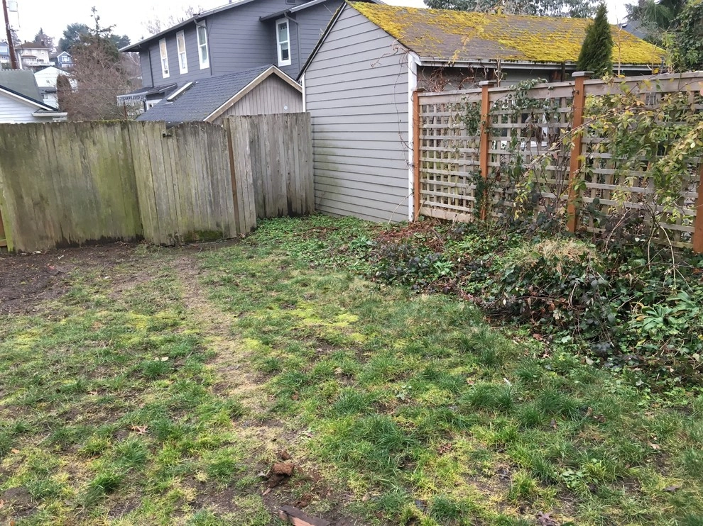 Seattle Landscape Transformation Spring 2017 by Plumb Landscapes Inc. - Photo 9
