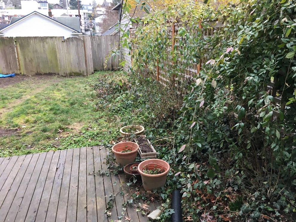 Seattle Landscape Transformation Spring 2017 by Plumb Landscapes Inc. - Photo 5