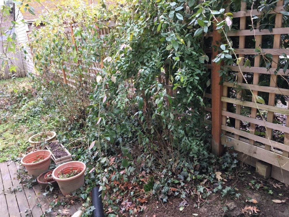Plumb Landscapes Inc. - Photo 3