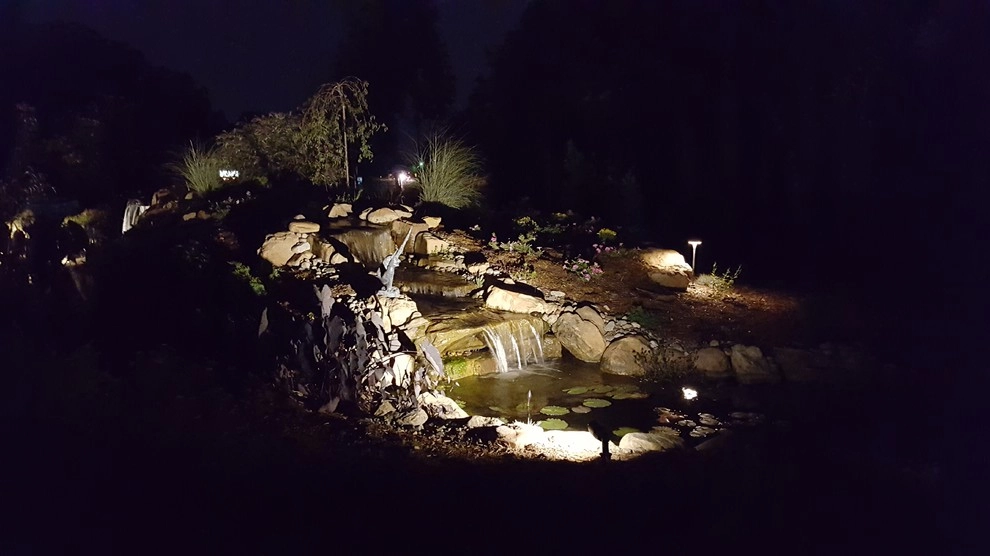 Pond Country - Photo 3