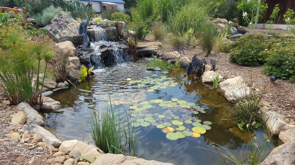 Pond Country - Photo 5