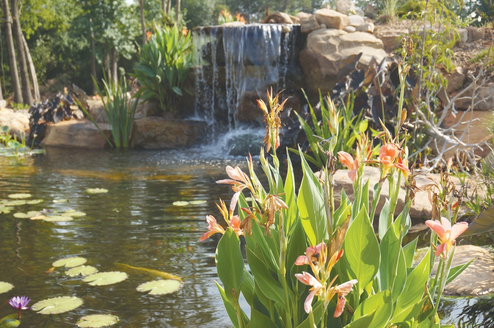 Pond Country - Photo 4