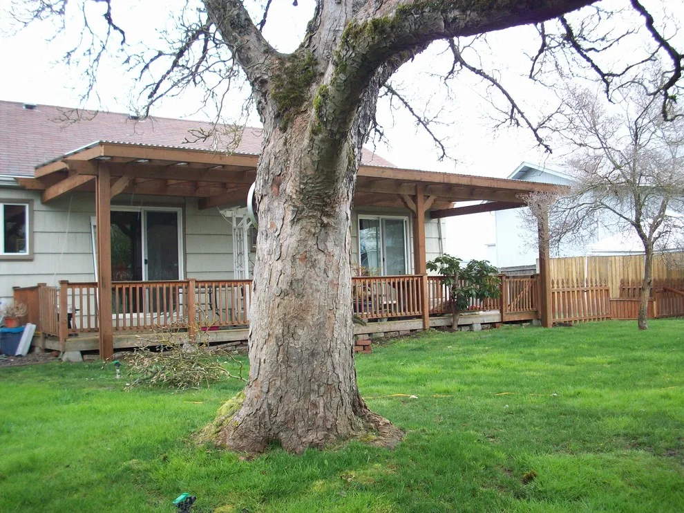 Outdoor Canopy Designs by T & J Woodworks, Inc. - Photo 34