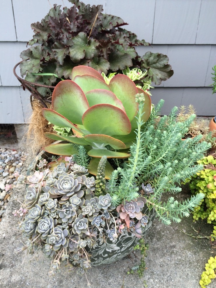 Country Living Landscape by Pony Lawncare And Landscaping - Photo 3