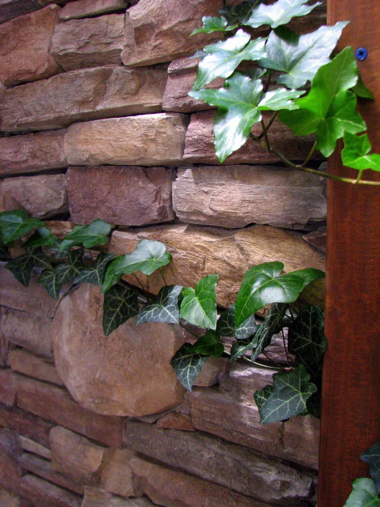 Somerset Ridge by Chuck B Edwards Landscape Architecture & 3D - Photo 38