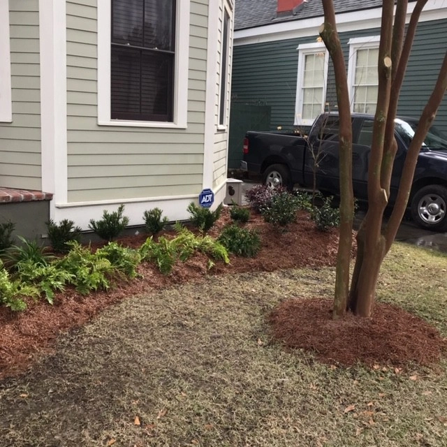 Front Yard, New Beds by Prados Landscapes LLC - Photo 3