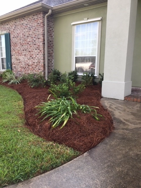 Front Yard Beds by Prados Landscapes LLC - Photo 4