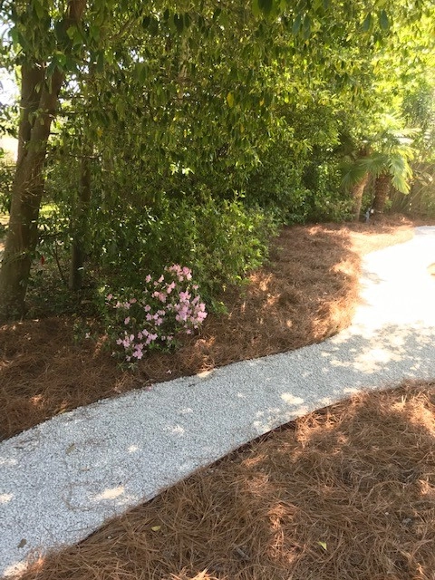 Boarder Tree Planting For Privacy Screen by Prados Landscapes LLC - Photo 7