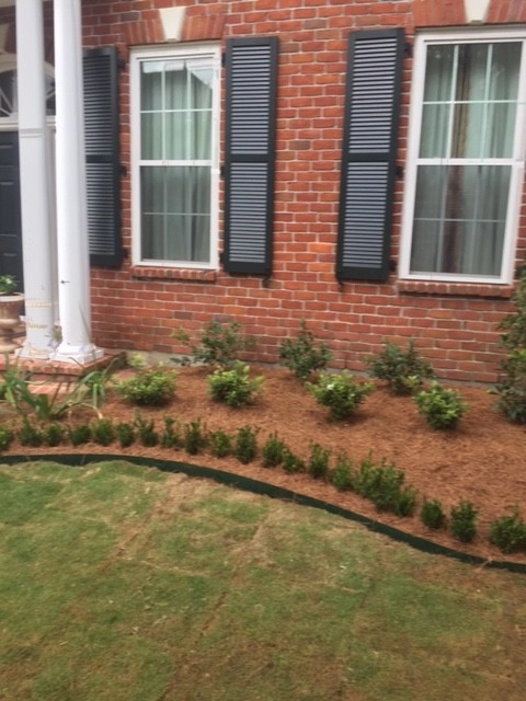 Front Yard Sod & Beds by Prados Landscapes LLC - Photo 2