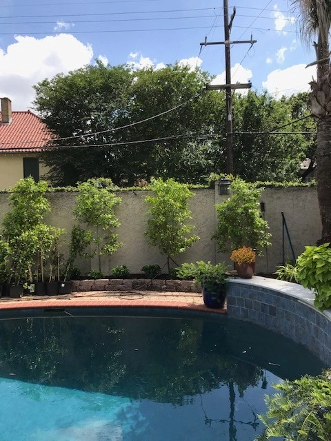 Pool Deck Landscaping by Prados Landscapes LLC - Photo 5