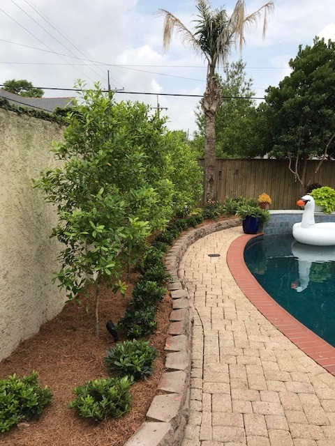 Pool Deck Landscaping by Prados Landscapes LLC - Photo 2
