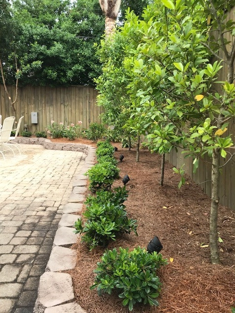 Pool Deck Landscaping by Prados Landscapes LLC - Photo 6