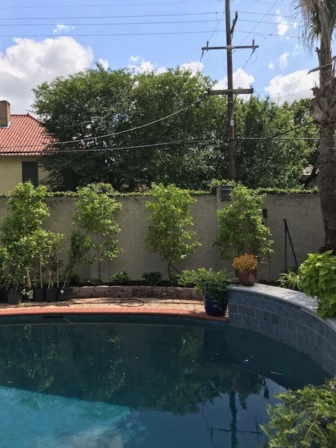 Pool Deck Landscaping by Prados Landscapes LLC - Photo 3
