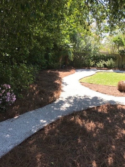 Boarder Tree Planting For Privacy Screen by Prados Landscapes LLC - Photo 2