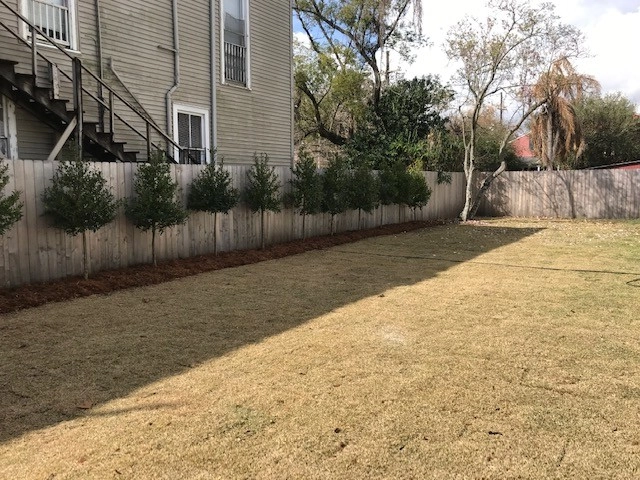 Boarder Tree Planting For Privacy Screen by Prados Landscapes LLC - Photo 4