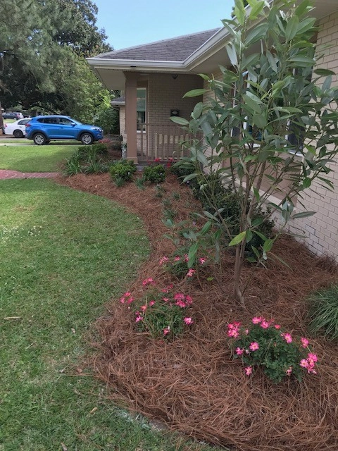 Front Yard Landscaping by Prados Landscapes LLC - Photo 10