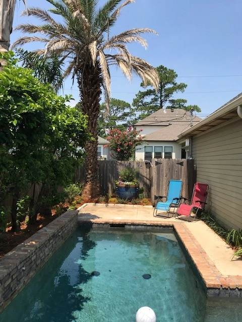 Pool Area Landscaping by Prados Landscapes LLC - Photo 2