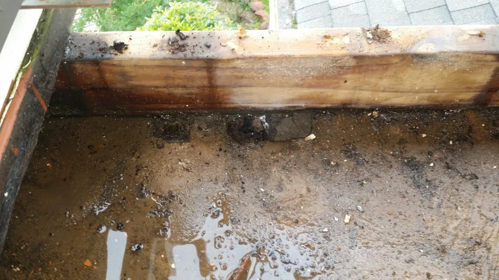 TREX Deck and Roof Initiative by Exterior Restoration Services LLC - Photo 4