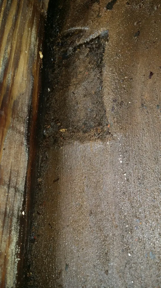 TREX Deck and Roof Initiative by Exterior Restoration Services LLC - Photo 24