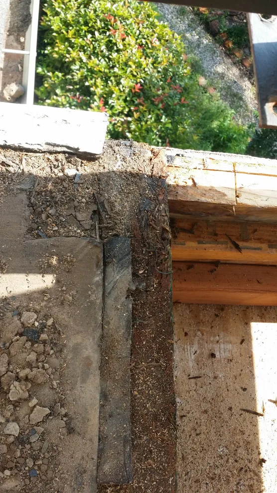 TREX Deck and Roof Initiative by Exterior Restoration Services LLC - Photo 41