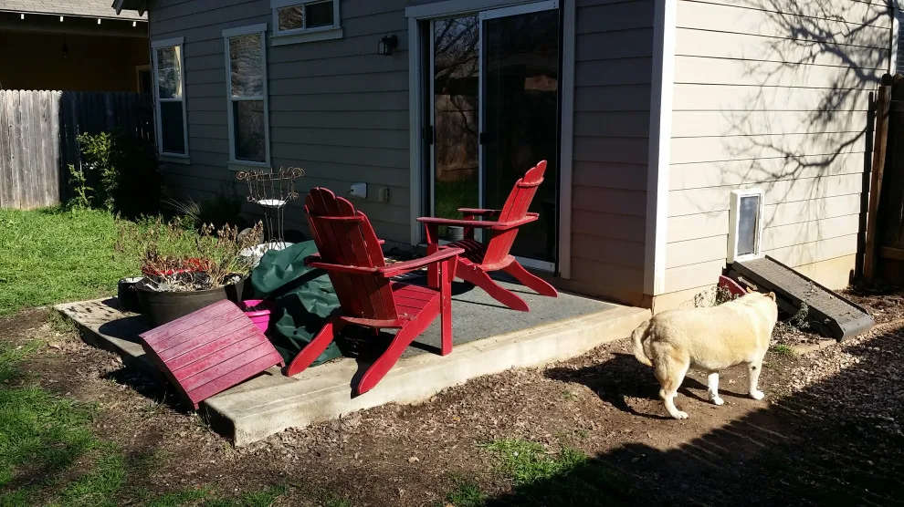 TREX Deck Initiative 2 by Exterior Restoration Services LLC - Photo 5