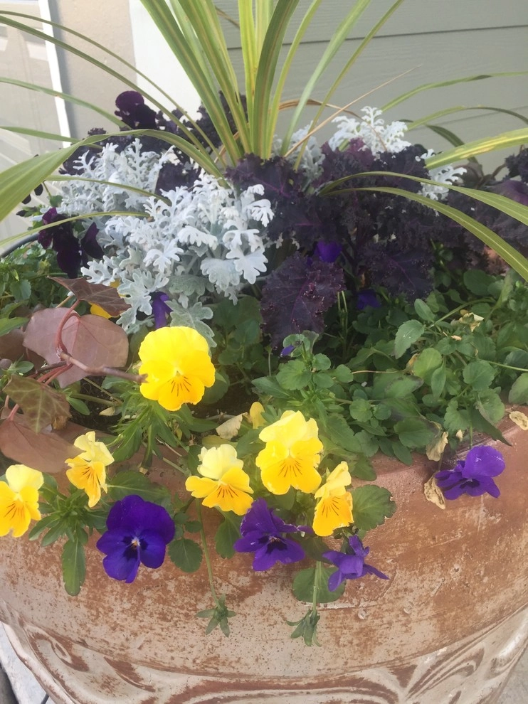 Flower Pots by Premier Oaks Landscape Management - Photo 2
