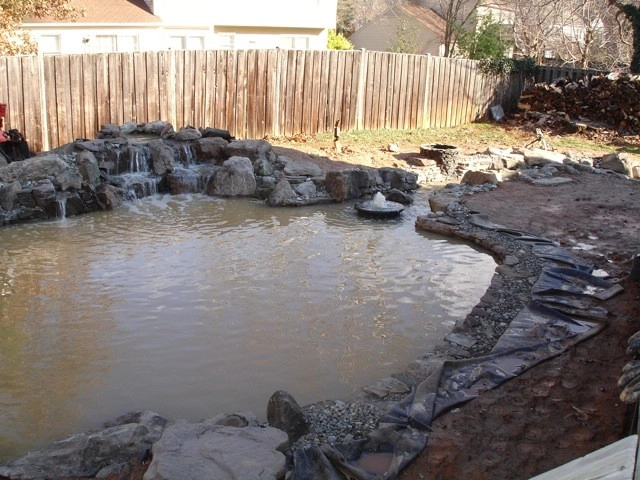 Advanced Backyard Pond in Silver Spring by Premier Ponds - Photo 4