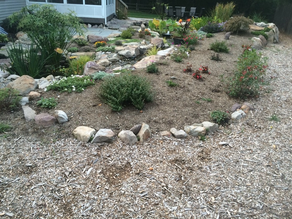 Advanced Backyard Pond in Silver Spring by Premier Ponds - Photo 6