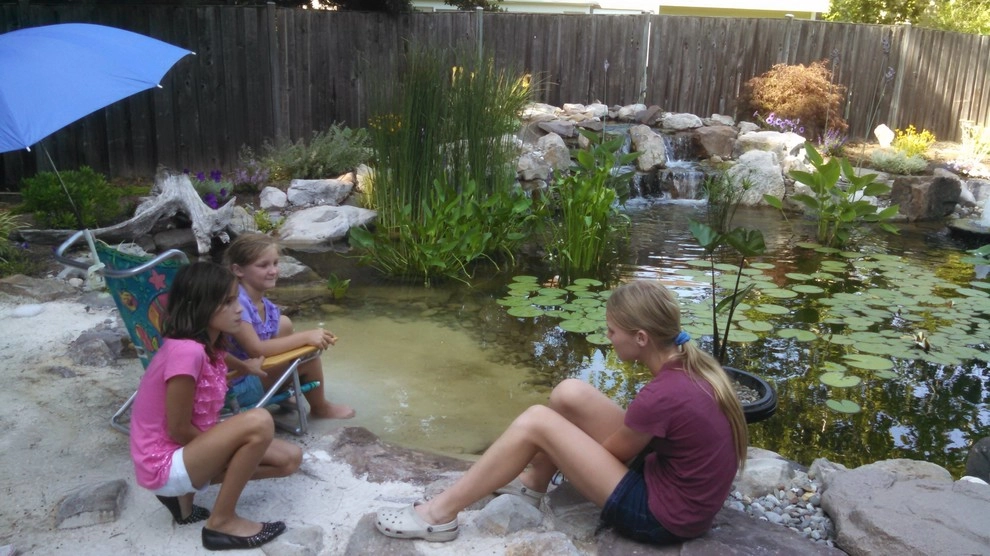 Advanced Backyard Pond in Silver Spring by Premier Ponds - Photo 7