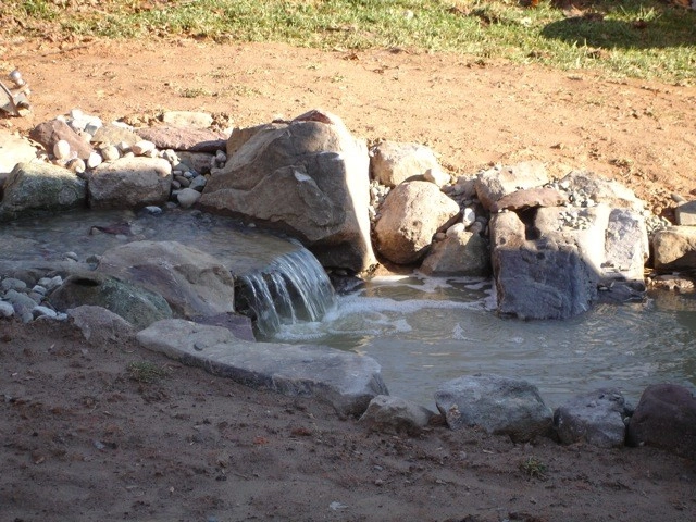Advanced Backyard Pond in Silver Spring by Premier Ponds - Photo 9