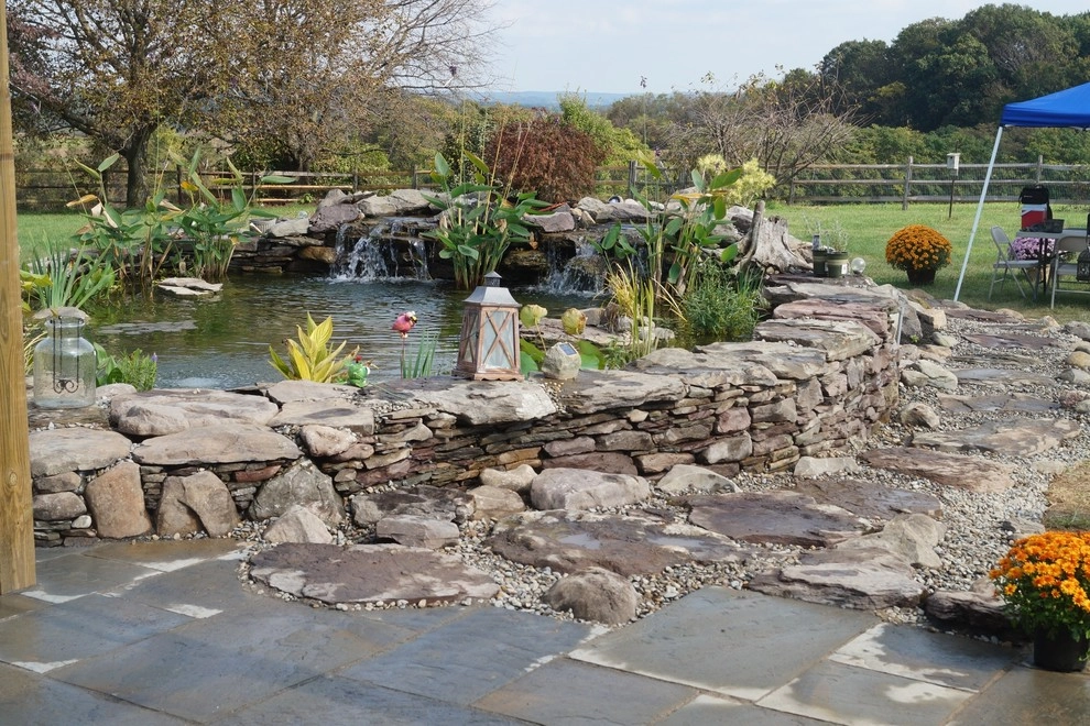 Premier Ponds - Photo 6
