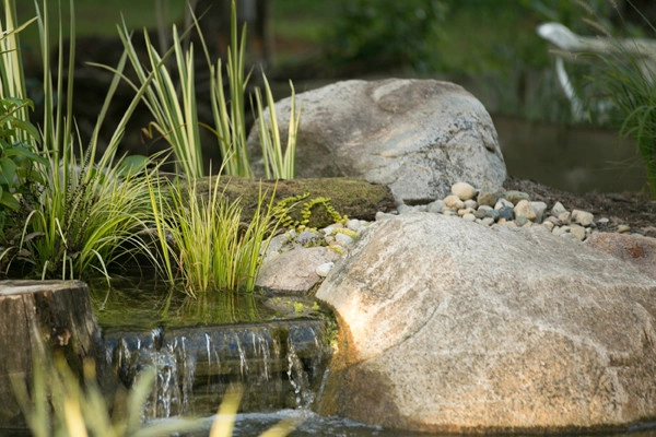 Bachman Garden Pond and Waterfall by Premiere Aquascapes - Photo 2