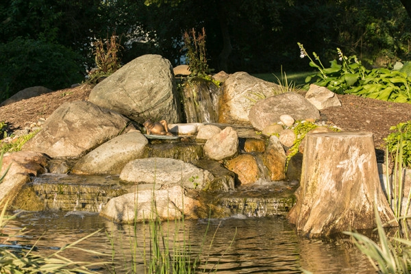 Bachman Garden Pond and Waterfall by Premiere Aquascapes - Photo 4