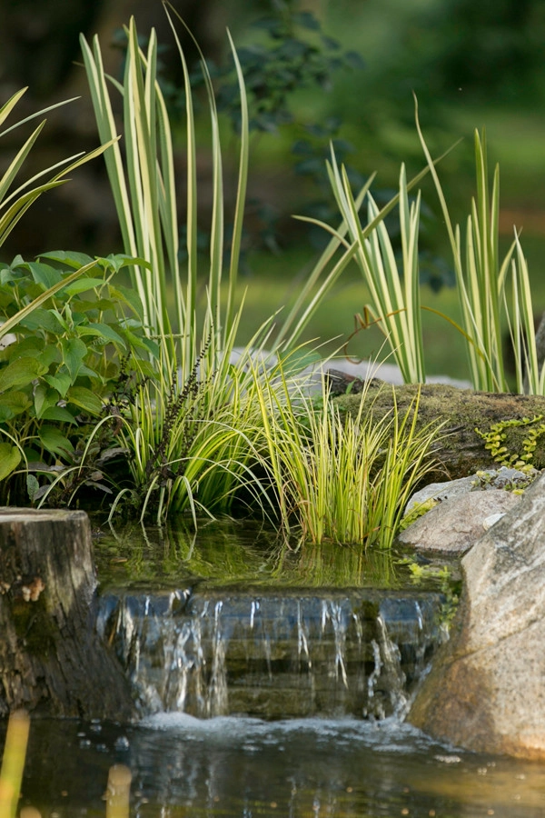 Bachman Garden Pond and Waterfall by Premiere Aquascapes - Photo 12