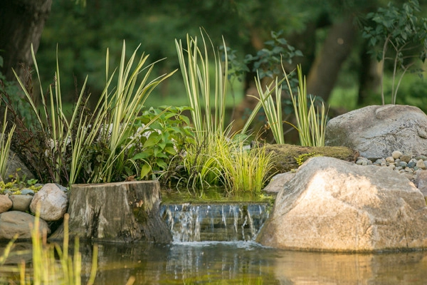 Bachman Garden Pond and Waterfall by Premiere Aquascapes - Photo 9