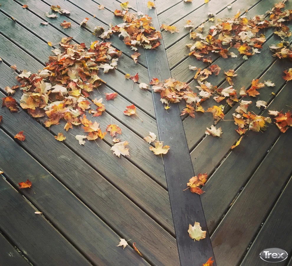 Trexpert Kate Campbell's Deck Construction by Trex Company INC - Photo 8