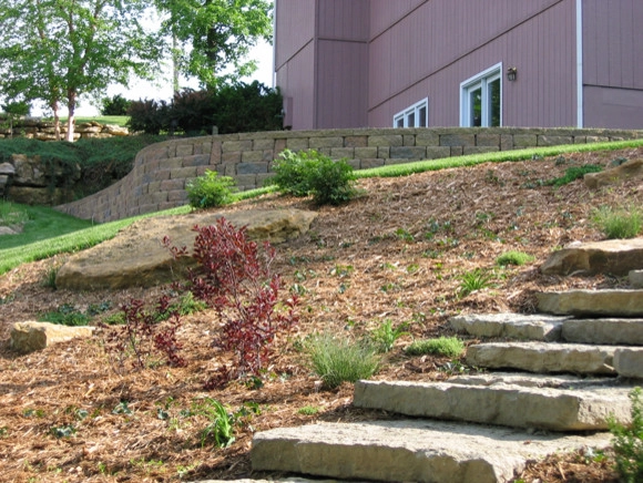 Plantings by Prestige One Landscaping - Photo 14