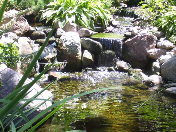 Backyard Ponds by Prestige One Landscaping - Photo 15