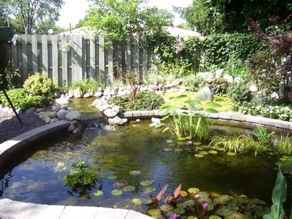 Backyard Ponds by Prestige One Landscaping - Photo 2