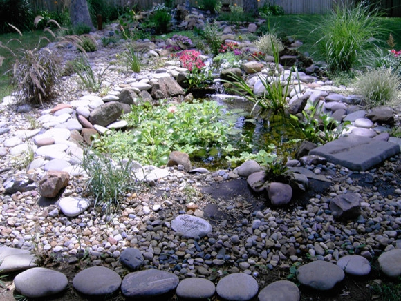Backyard Ponds by Prestige One Landscaping - Photo 20