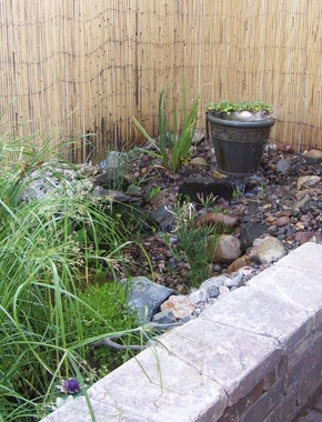Backyard Ponds by Prestige One Landscaping - Photo 11